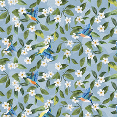 Collection image for: Cotton Woven