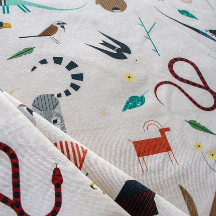 Canvas - Organic Cotton - Canyon Critters - Cream - Charley Harper